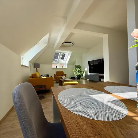 Allvia * 트르나바